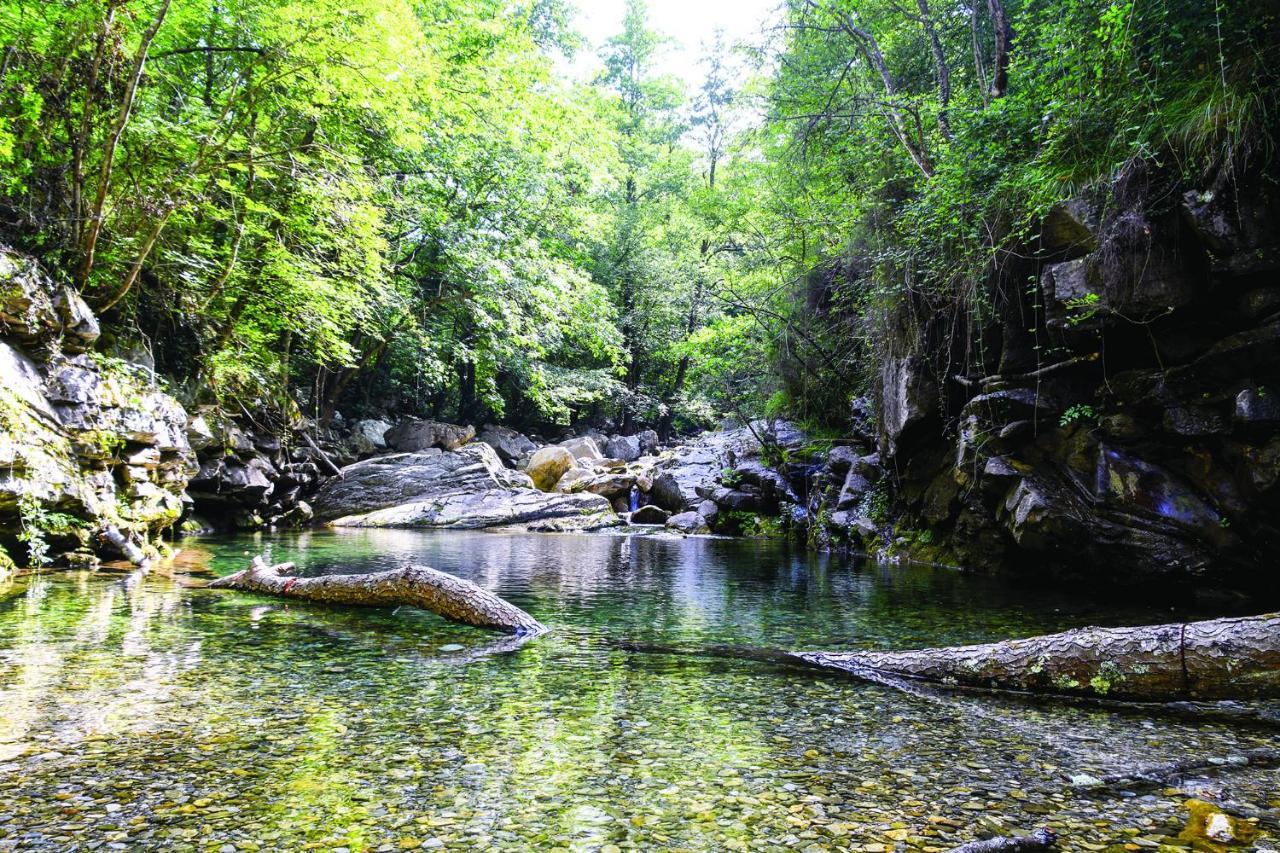 Agriturismo Nonnamelia Nasino ภายนอก รูปภาพ