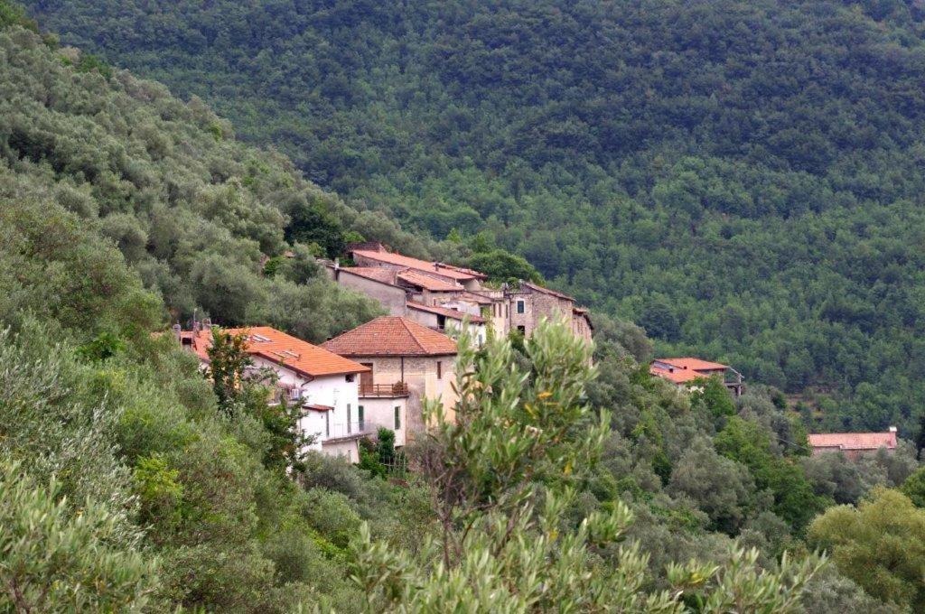 Agriturismo Nonnamelia Nasino ภายนอก รูปภาพ